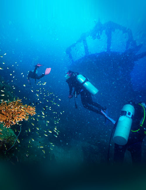 Double Angel Insurance Agency / Divers Image